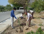 به مناسبت روز درختکاری